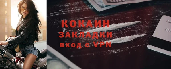 шишки Наволоки