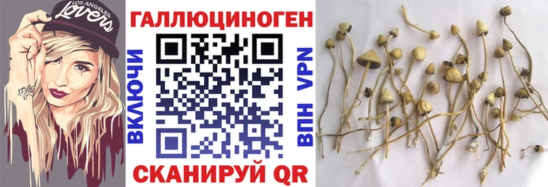 Псилоцибиновые грибы Cubensis Миасс